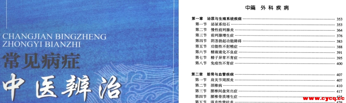 《常见病症中医辨治）》详细的辨证分型 治则治法及方药...